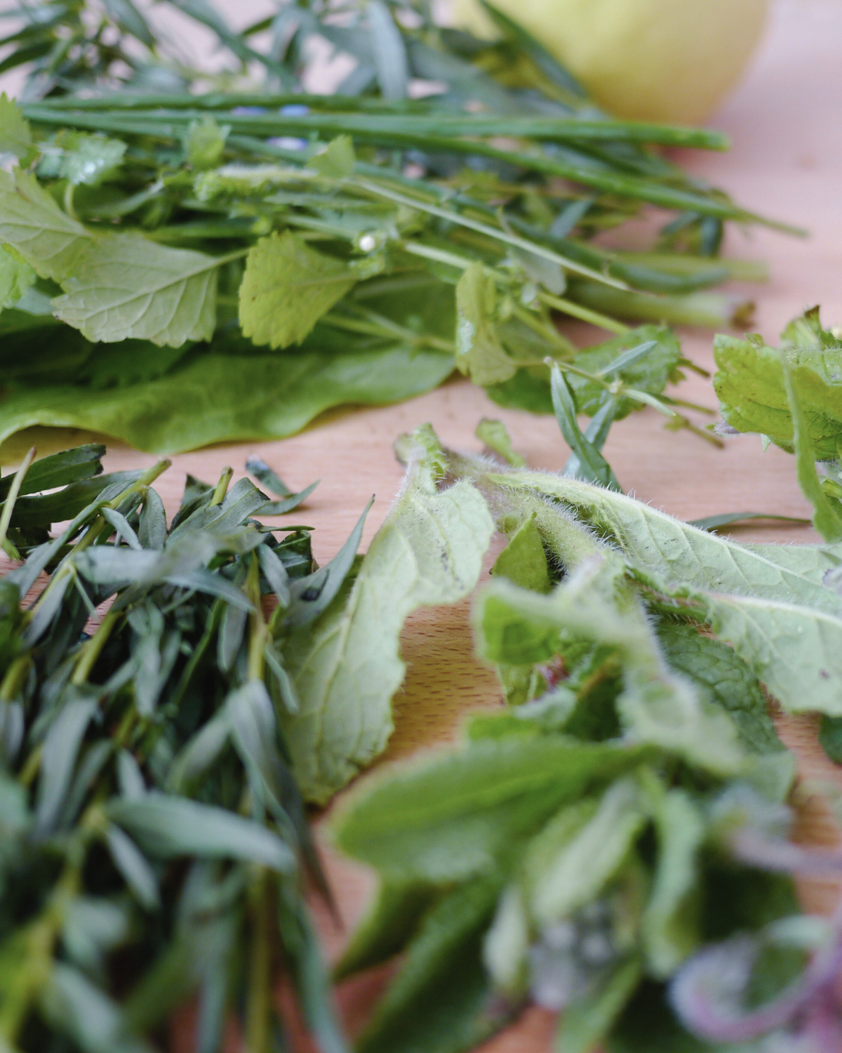 Kitchen Herbs